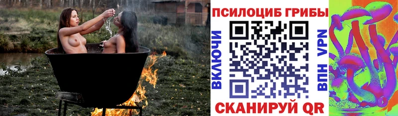 купить наркотики цена mega ссылка Псилоцибиновые грибы MAGIC MUSHROOMS Буй